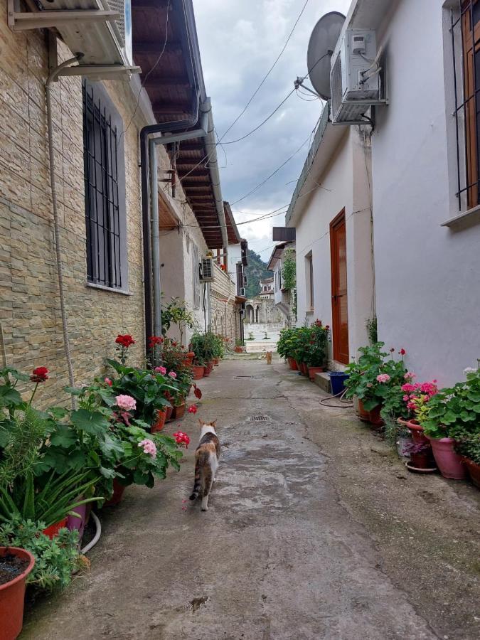 Herta Apartment Berat Exterior photo